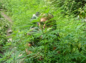 juste après le titre