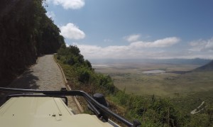 DCIM101GOPROG1252415.